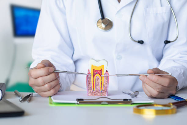Best Emergency Tooth Extraction in Forrest City, AR